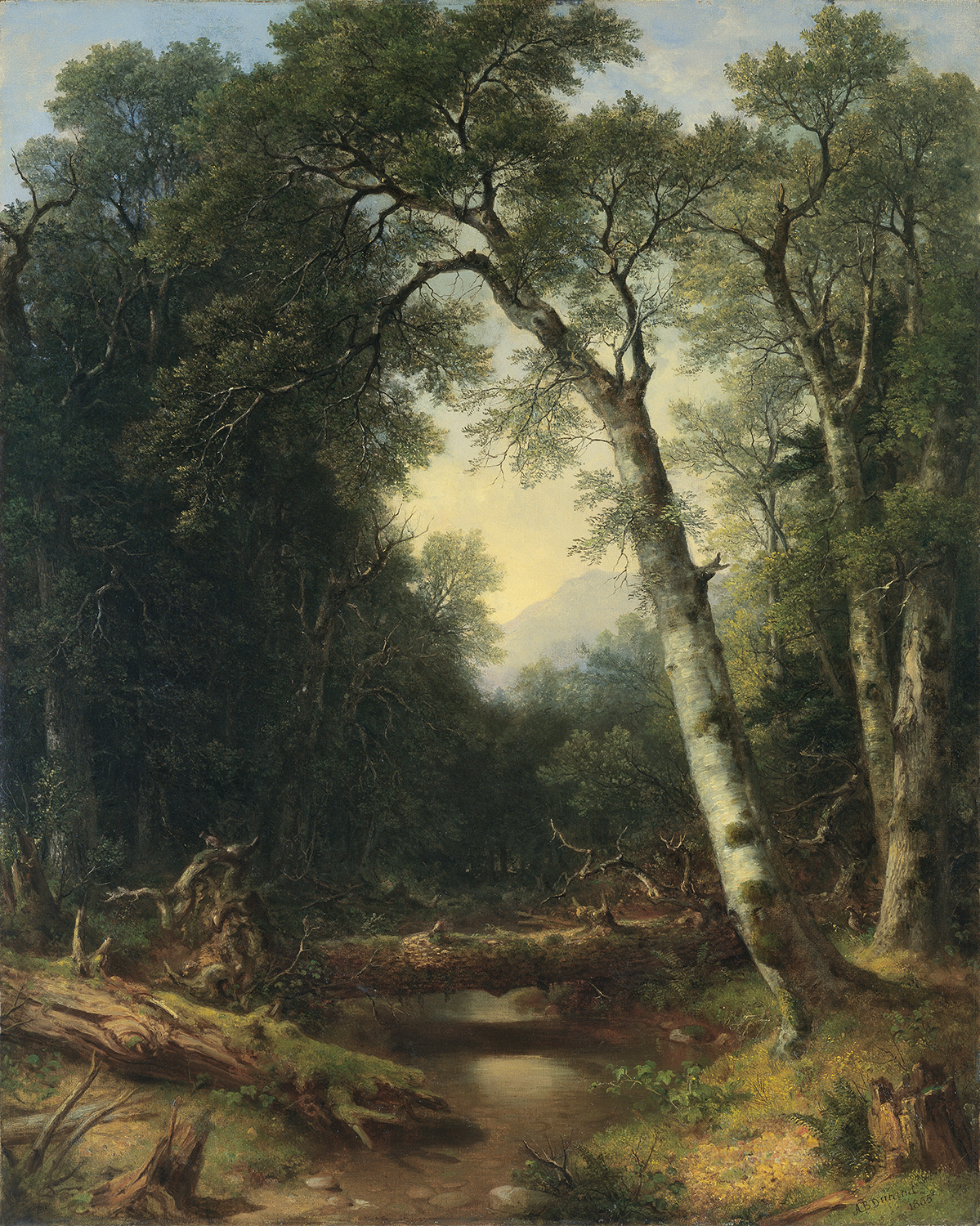 A picturesque scene with a tree with white bark growing on the side of a creek bank in the forest. A mountain is seen in the distance, and through the center flows a creek with clear water and stones on the bottom. Two trees covered in moss have fallen across the creek.