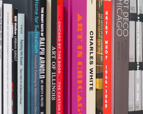 A row of books lined up with their spines facing out.