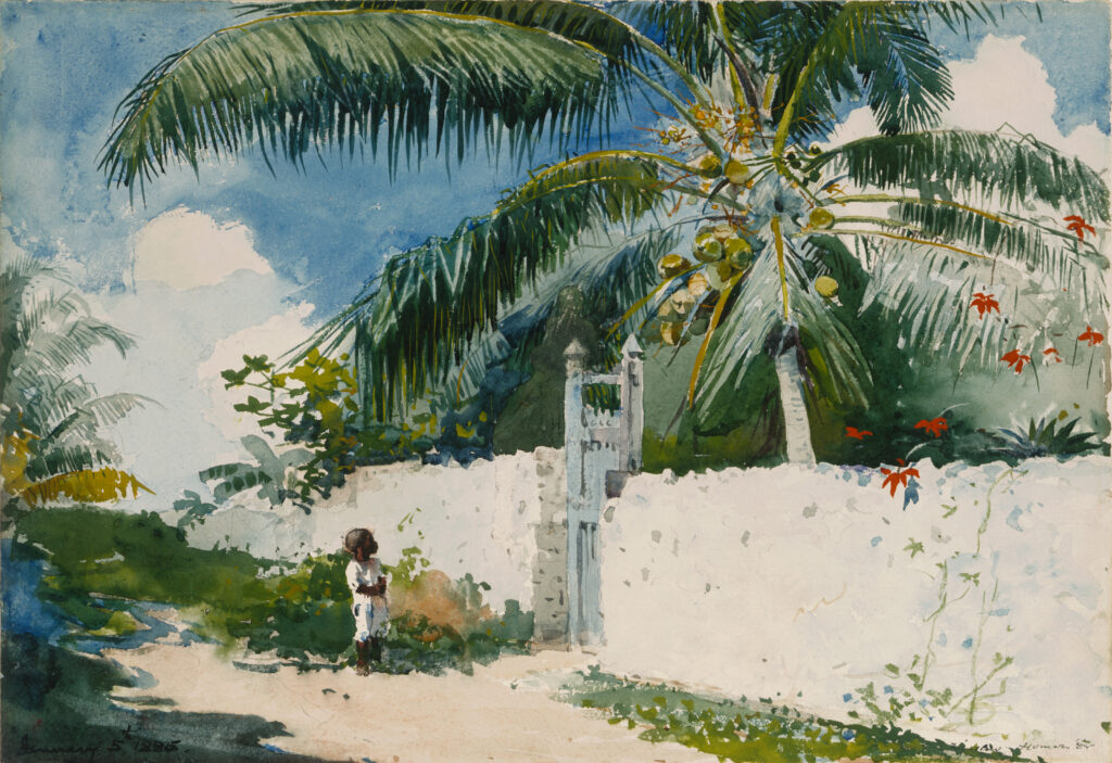 A boy stands in front of a green gate set into a stone wall. Behind the wall is a tall palm tree.