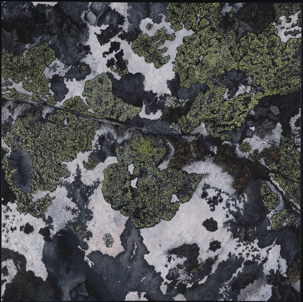 Canvas with shades of dark colors, including green, grey, and blue.