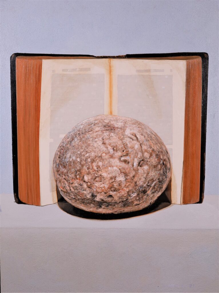 An image of a rock-like structure and a book.
