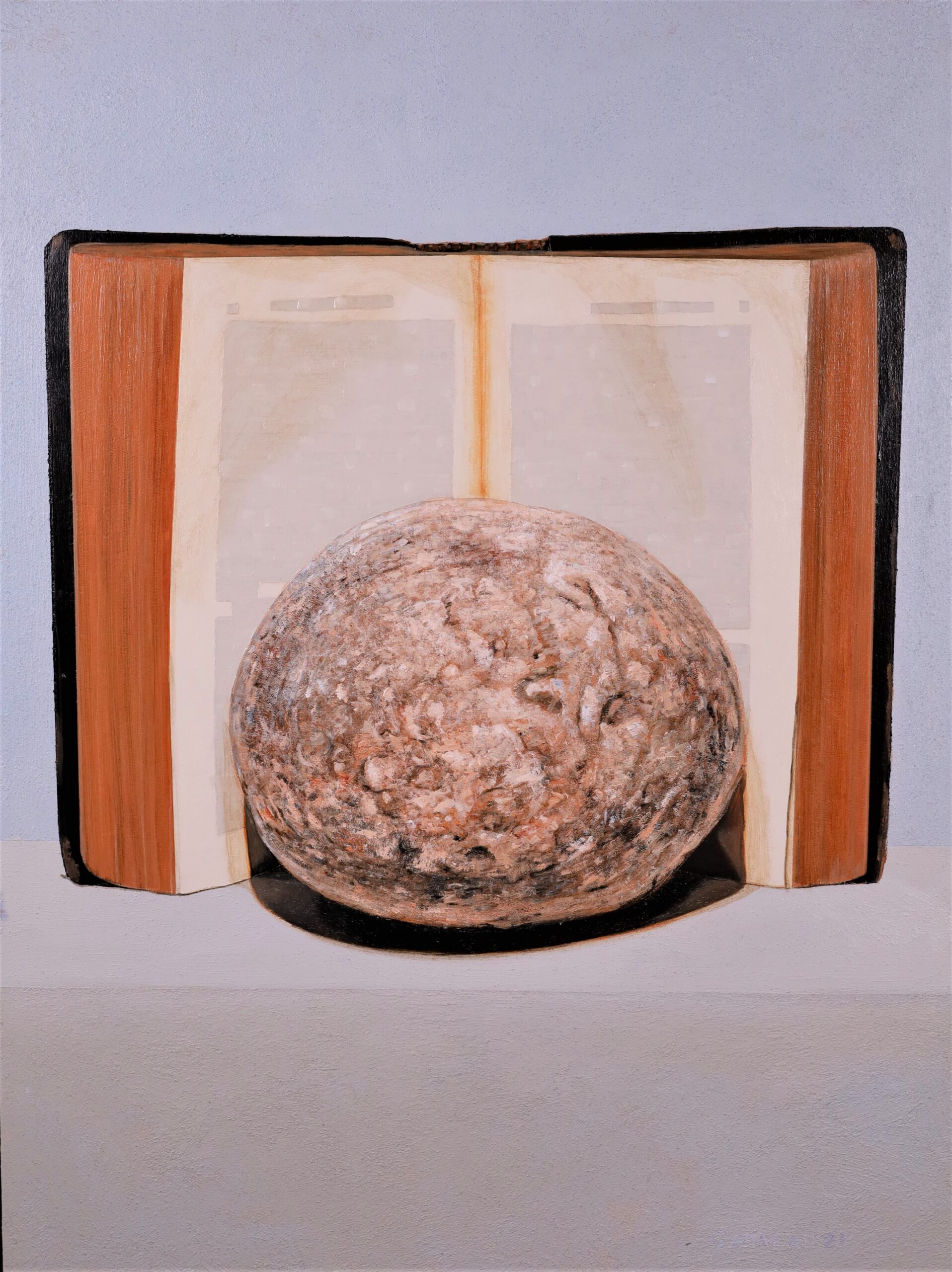 An image of a rock-like structure and a book.