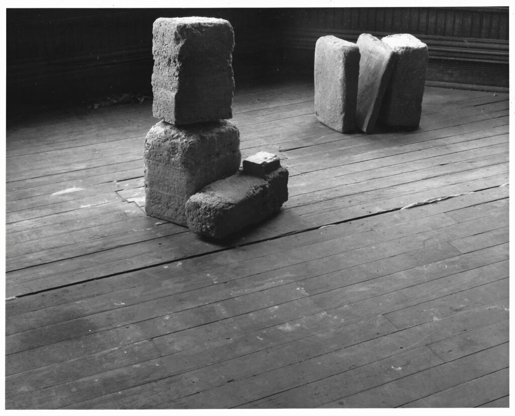 Image of stone-like objects in black and white or greyscale.