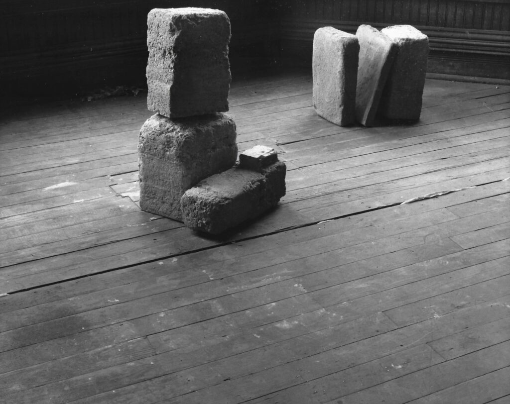 Image of stone-like objects in black and white or greyscale.