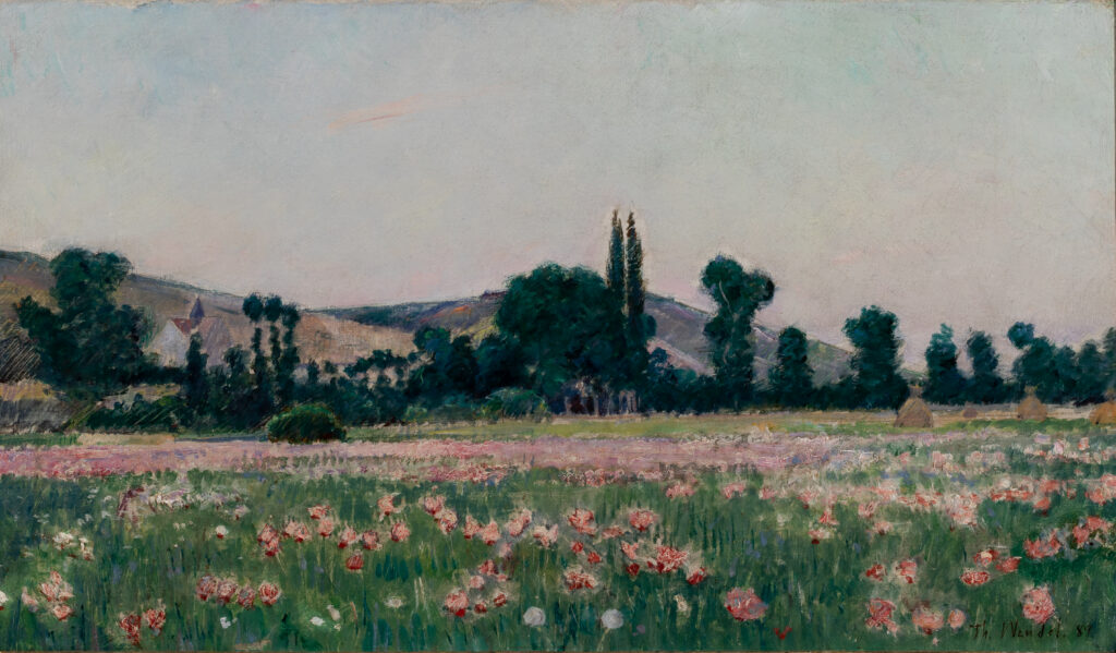 A view of a field of red flowers with trees and hills in the distance.