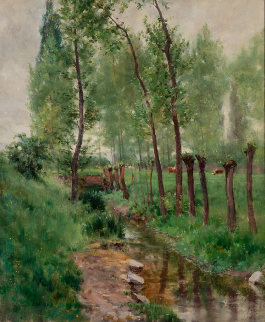A forest scene with a river running through the landscape.