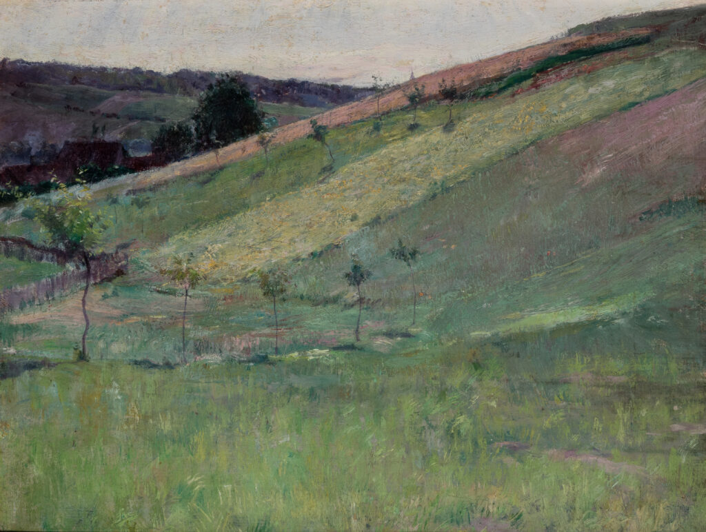 A view of a hillside with trees and green grass.