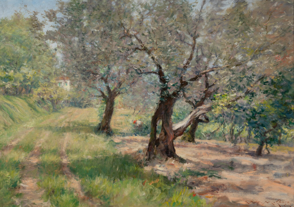 A painting of a field of olive trees on a sunny day.