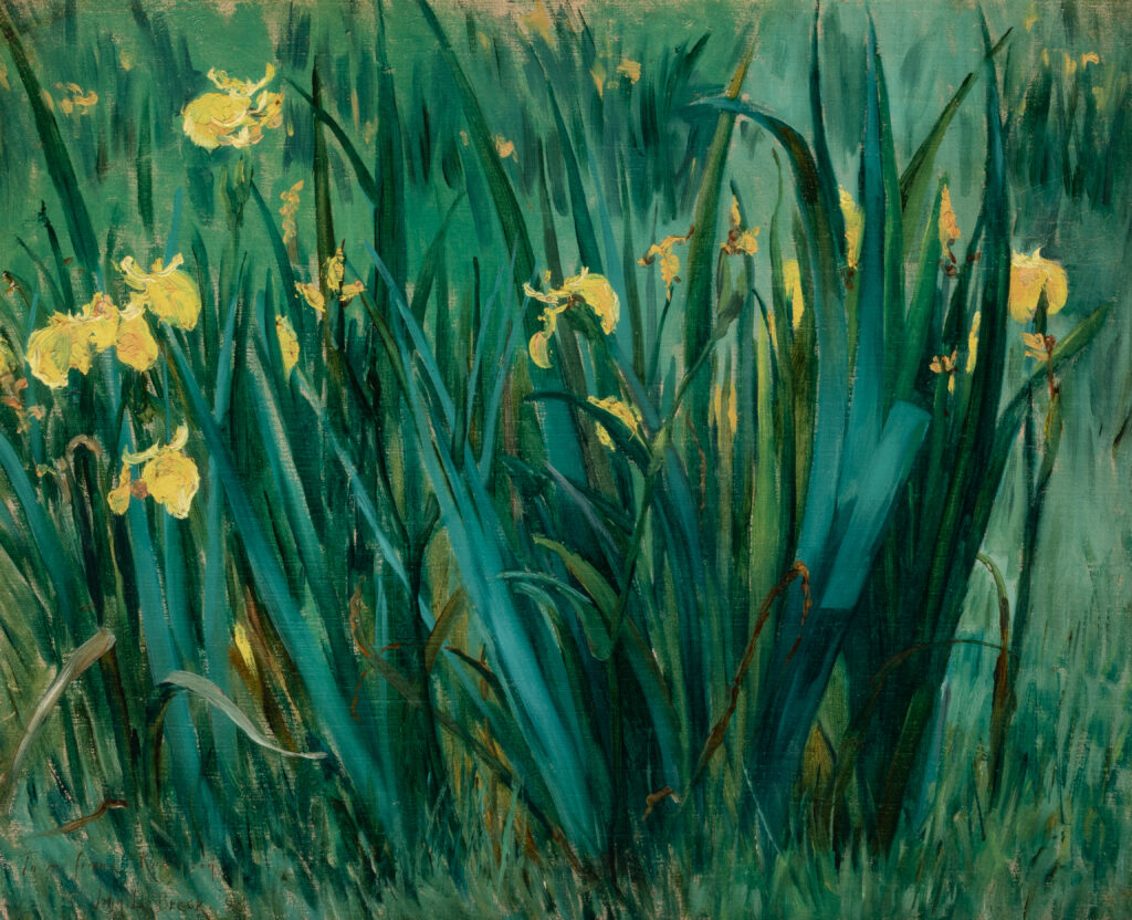 A painting of a close view of daffodils.