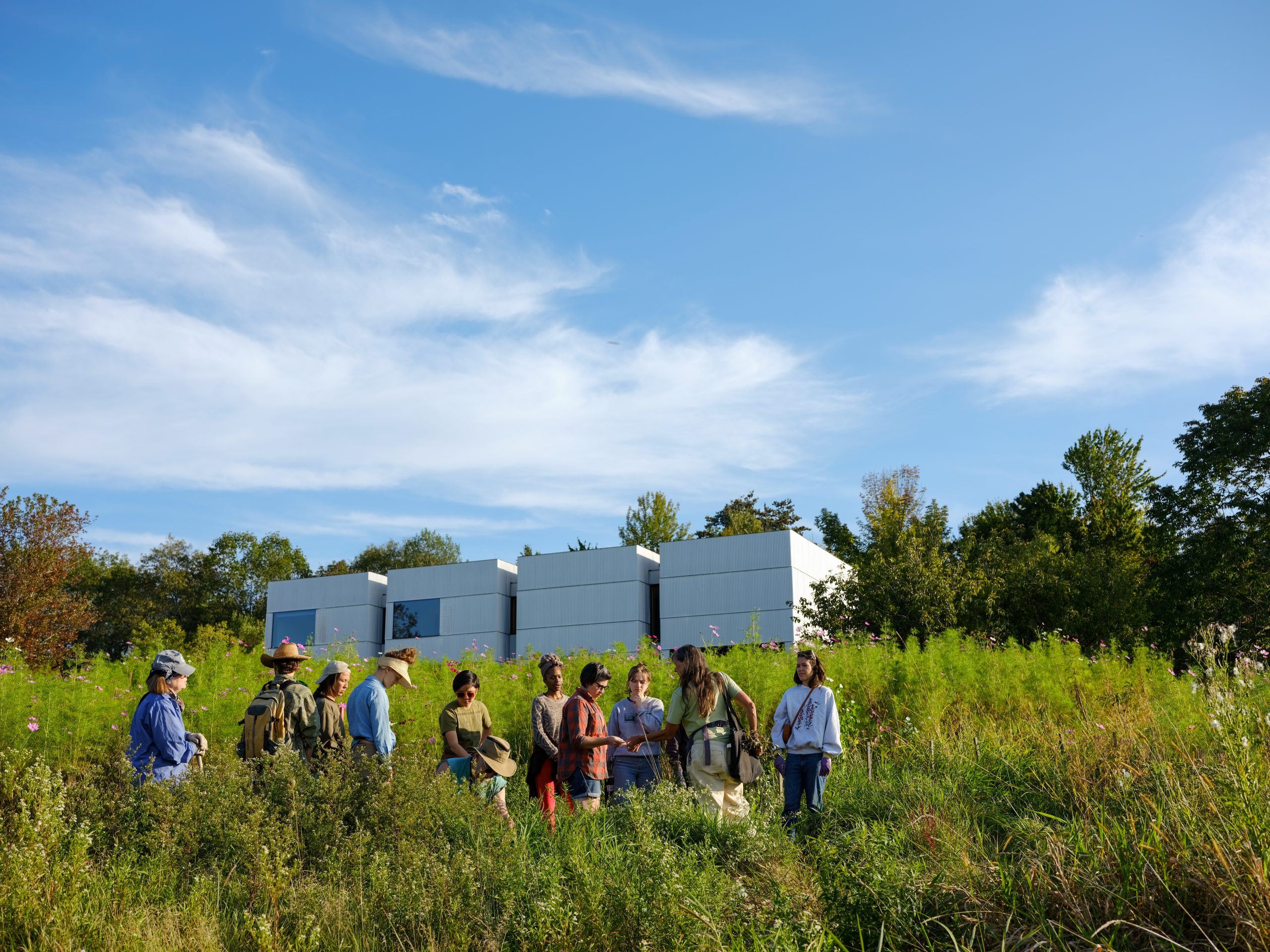 A group of people standing in tall, green grass with a white building behind them.