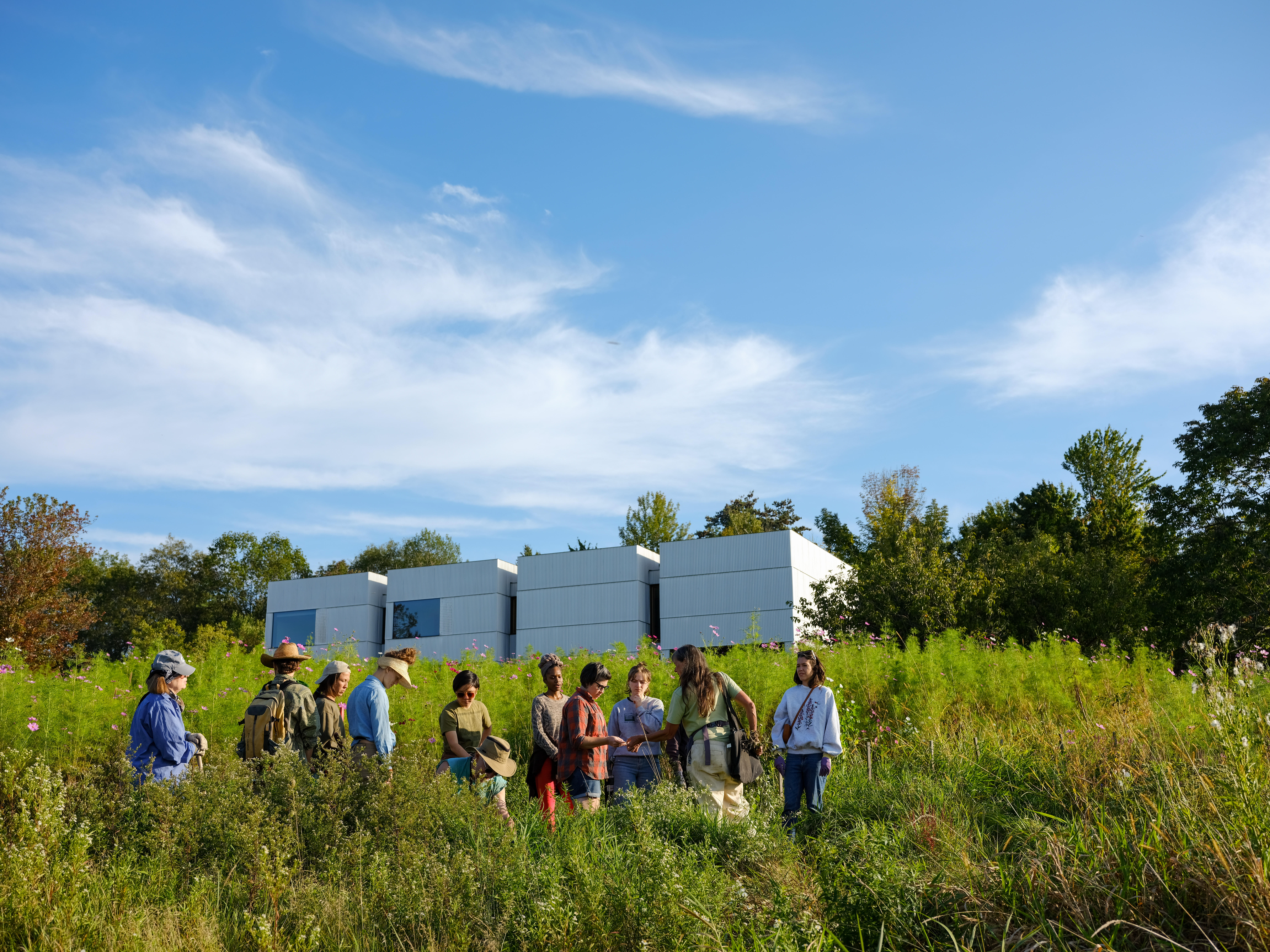 A group of people standing in tall, green grass with a white building behind them.